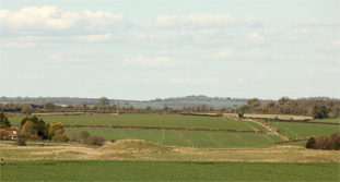 Ackling Dyke Round Barrow cemetry