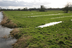 Bedworks in former Water Meadow