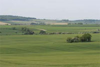 Fields in the AONB