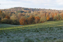 Ancient Woodland in the AONB