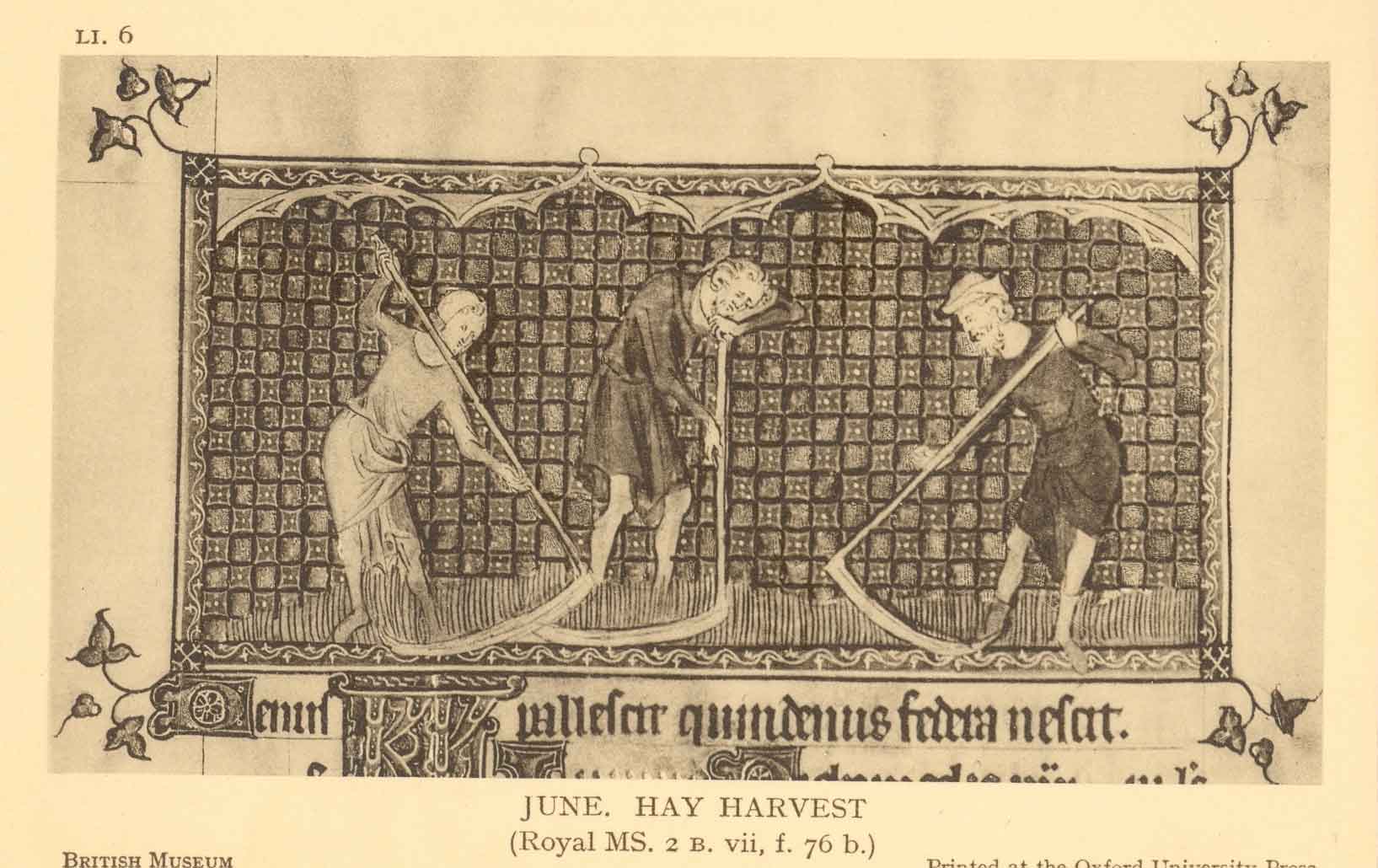 Medieval Harvest