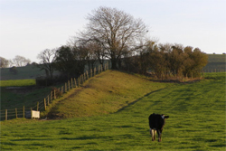 Long Barrow on Bokerley Down by 