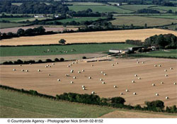 Fields in the AONB