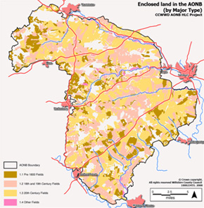 Historic Character of fields in the AONB 